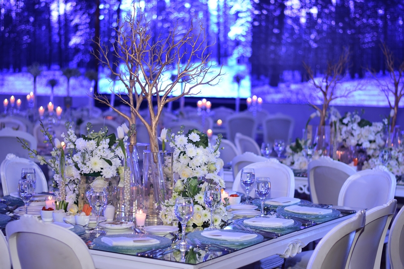 Wedding of Abbas Chamssedine and Manal Safa Part2